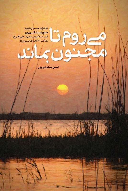 مشاهده و خرید کتاب می روم تا مجنون بماند زندگی سردار شهید حاج رضا شُکری‌پور