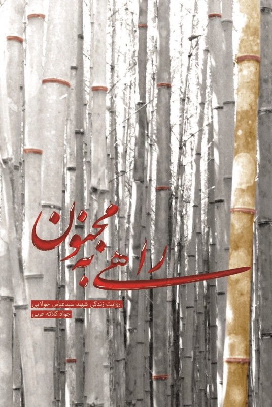 مشاهده و خرید کتاب راهی به سوی مجنون روایت زندگی شهید عباس جولایی