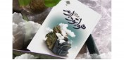 گفت‌و‌گو با محمدرسول ملاحسنی، مؤلف کتاب «هواتو دارم»؛ سبک زندگی شهید عبداللهی عارفانه است/ هشتاد نکته اخلاقی در کتاب