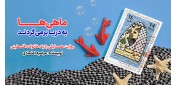 در بیست‌ودمین جشنواره ملی کتاب رشد؛ «ماهی‌ها به دریا برمی‌گردند» در بخش جایزه ویژه روشنا شایسته تقدیر شد